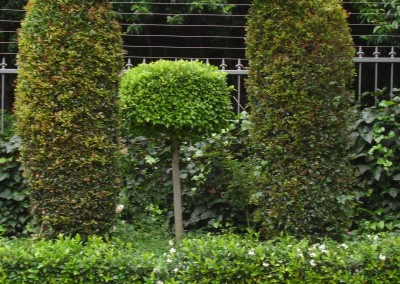 Green arch
