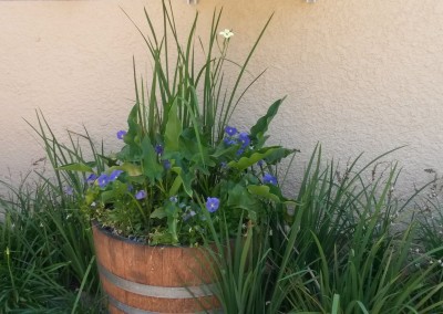 garden barrel