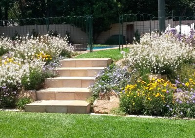 perrenial planting